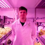 Новые горизонты светодиодной техники инновации и тенденции на рынке